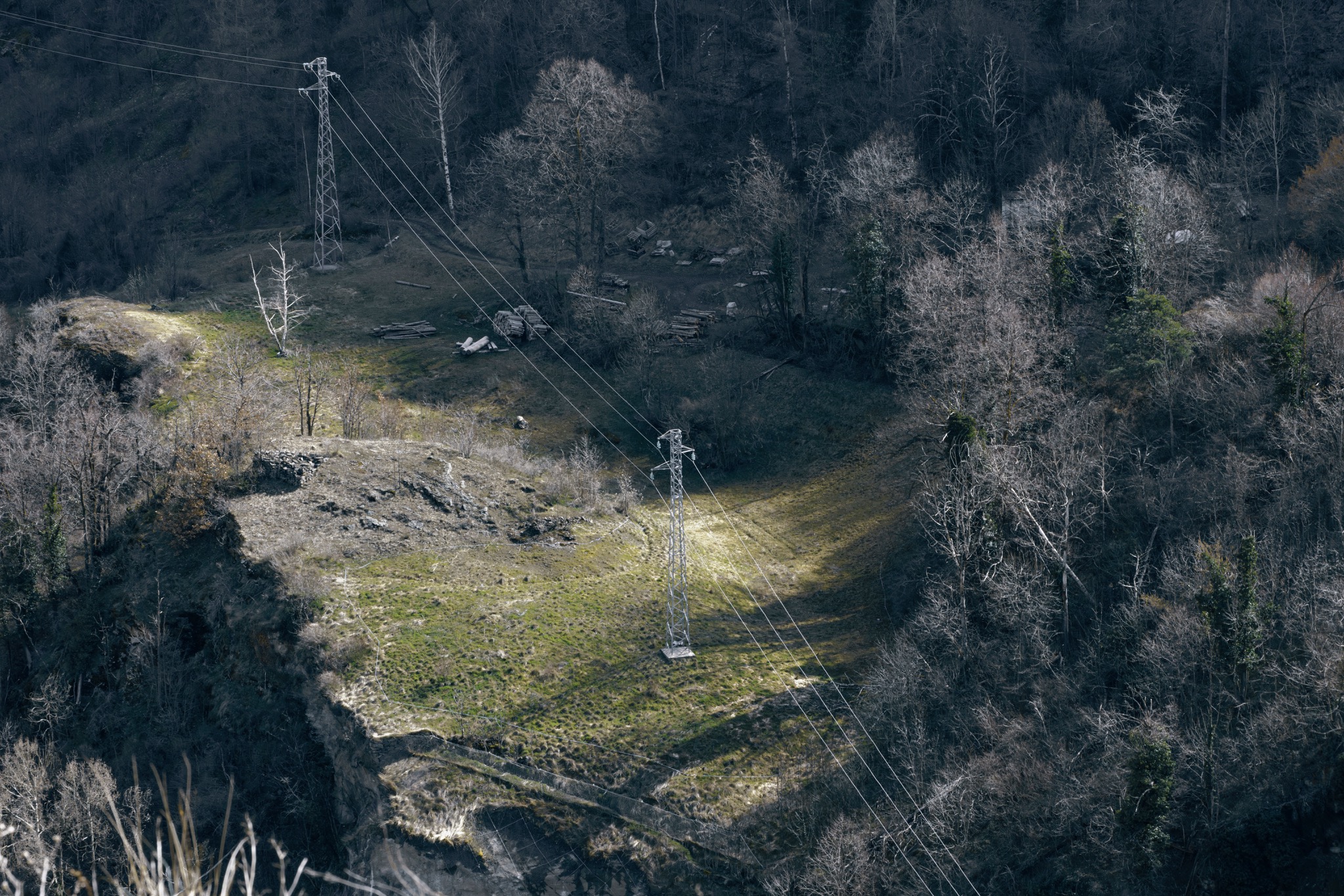 Tralicci — lines of force across a wooded slope