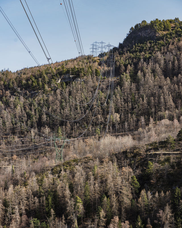 Power lines across a wooded slope