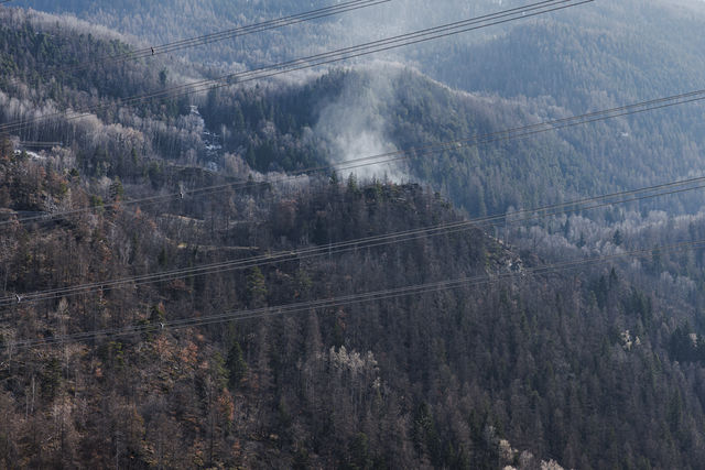 Power lines crossing woodland with smoke in the distance