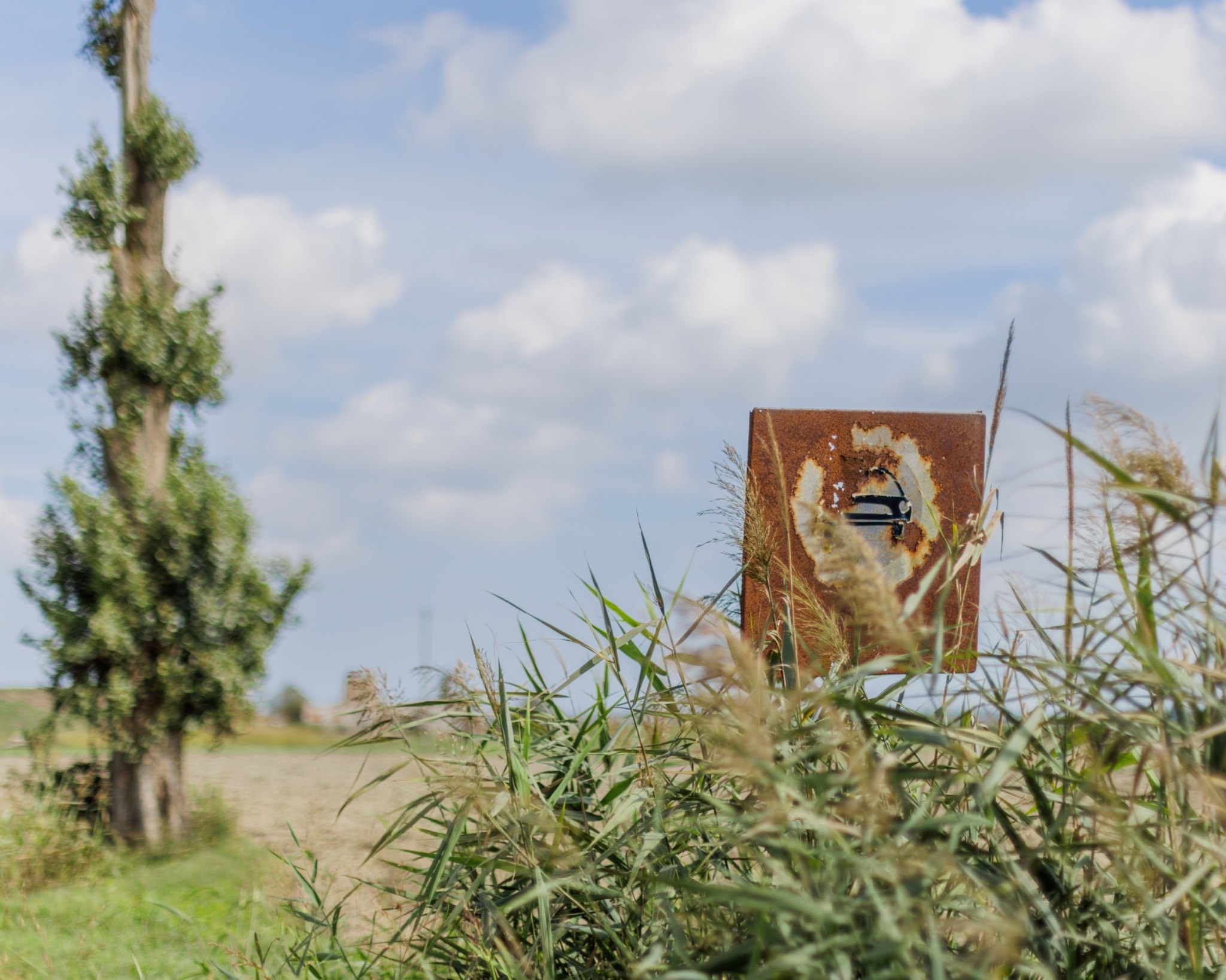 Gita sul delta — mark among vegetation