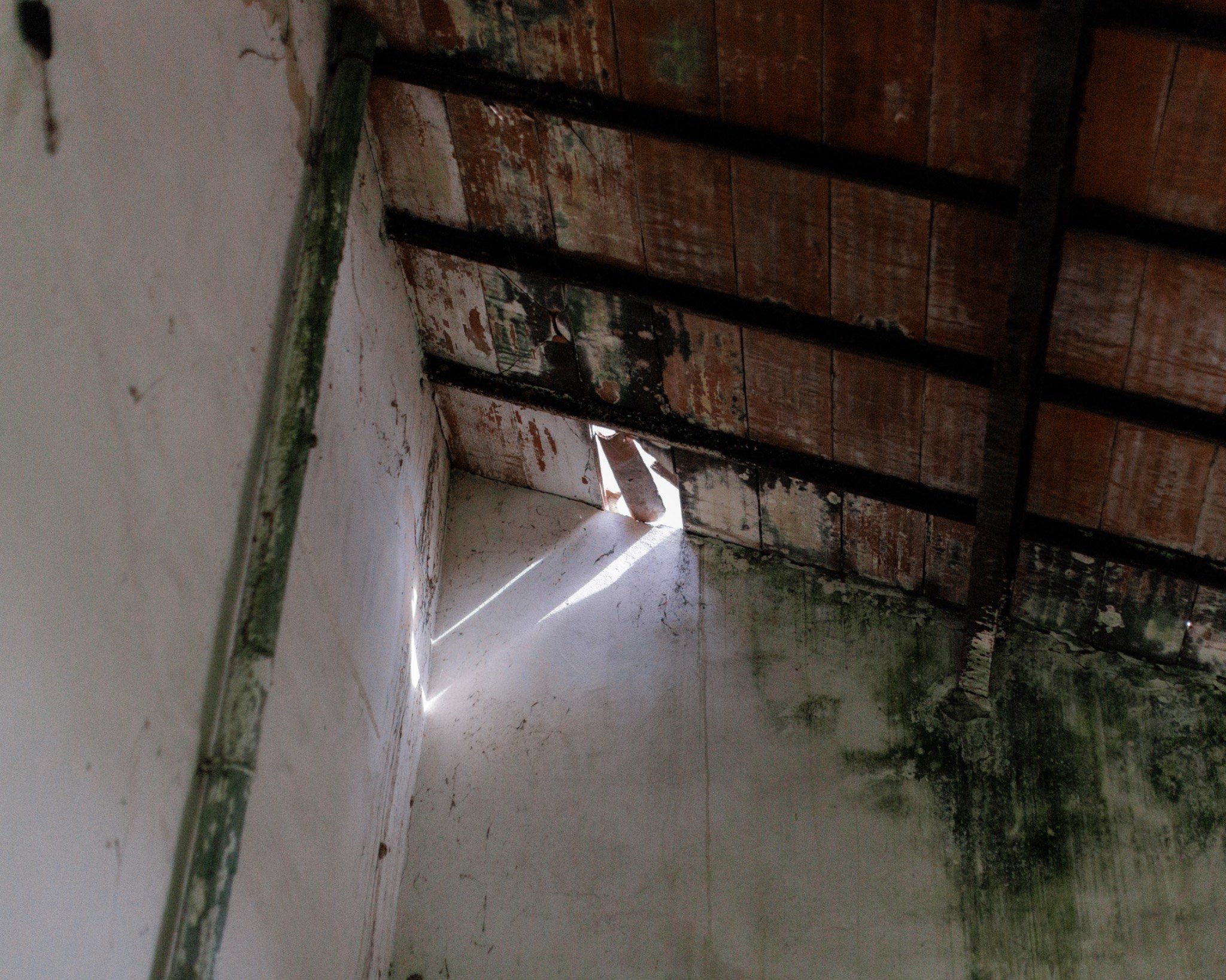 Gita sul delta — luce in un abandoned interior
