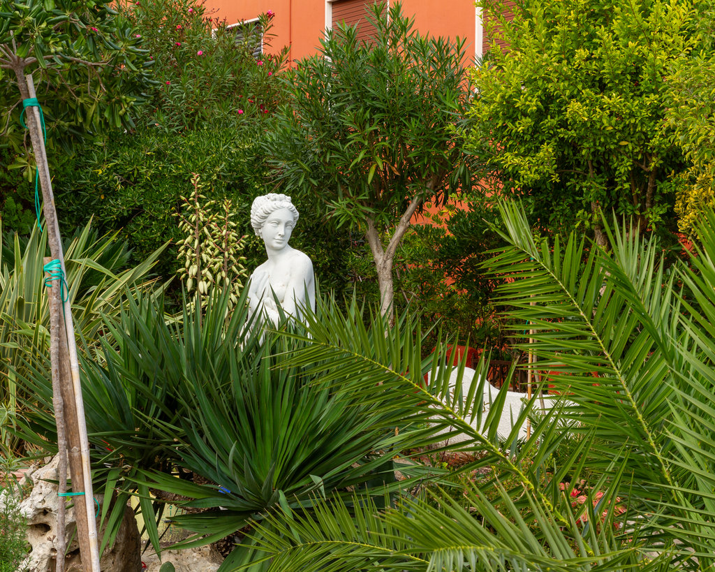 La Linea — photograph 13