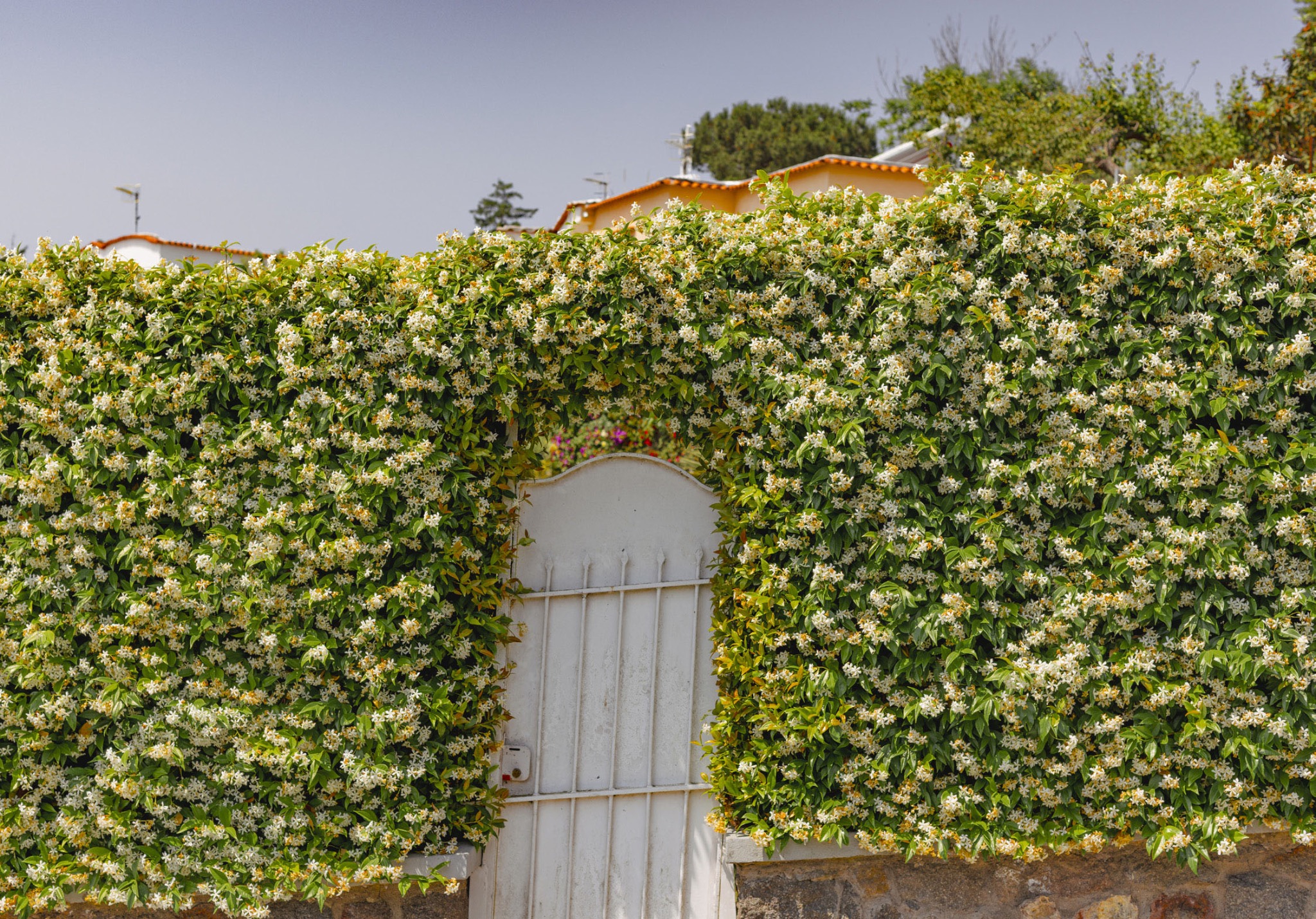 Houses — Serrara Fontana