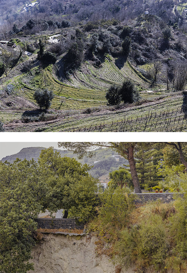 Upside Down — diptych 11