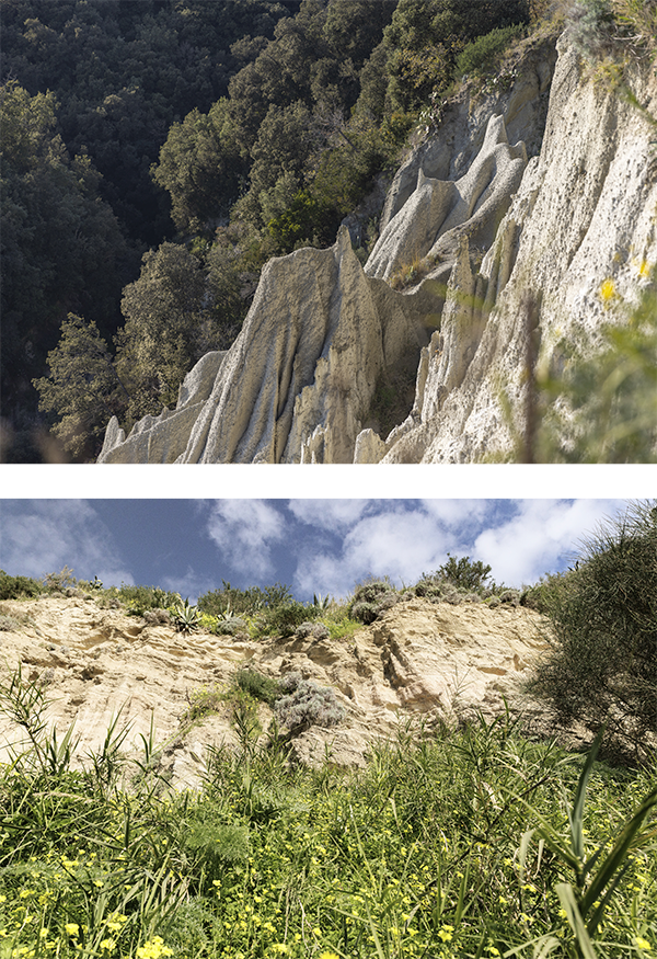 Upside Down — diptych 6